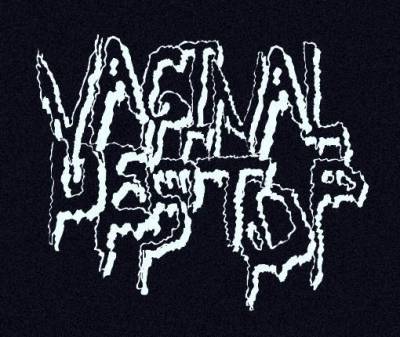 logo Vaginal Destop